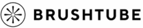 BRUSHTUBE Logo (USPTO, 11.02.2020)