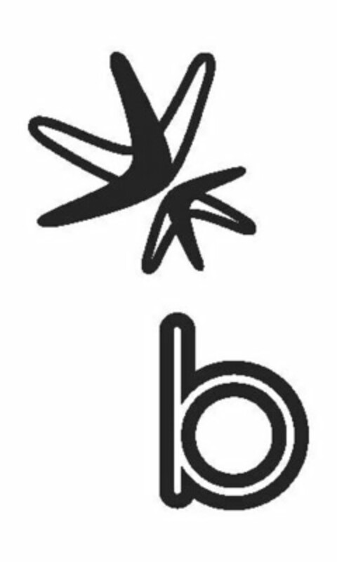 B Logo (USPTO, 26.03.2010)