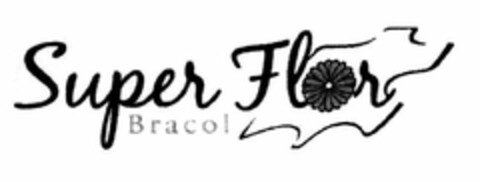 SUPER FLOR BRACOL Logo (USPTO, 11.11.2010)