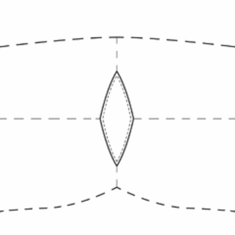  Logo (USPTO, 02/27/2013)