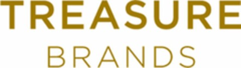TREASURE BRANDS Logo (USPTO, 22.01.2014)