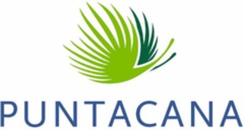 PUNTACANA Logo (USPTO, 07/16/2019)