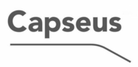 CAPSEUS Logo (USPTO, 20.11.2019)