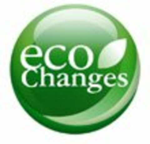 ECO CHANGES Logo (USPTO, 12.05.2010)