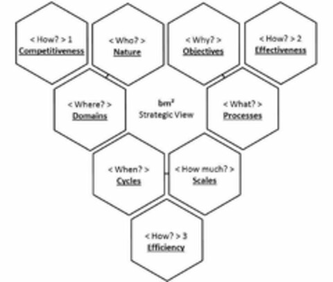 WHO? WHERE? WHAT? WHY? WHEN? HOW MUCH? HOW? 1 2 3 BM2 STRATEGIC VIEW COMPETITIVENESS EFFECTIVENESS EFFICIENCY NATURE DOMAINS PROCESSES OBJECTIVES CYCLES SCALES Logo (USPTO, 21.11.2011)