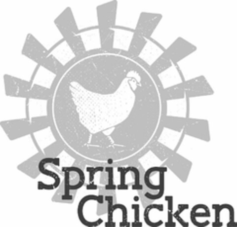 SPRING CHICKEN Logo (USPTO, 07.04.2016)
