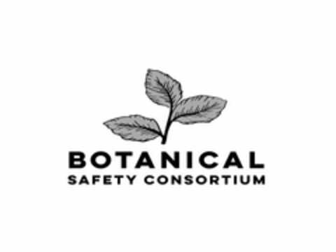 BOTANICAL SAFETY CONSORTIUM Logo (USPTO, 28.04.2020)