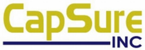 CAPSURE INC Logo (USPTO, 09/22/2009)