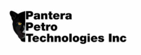 PANTERA PETRO TECHNOLOGIES INC Logo (USPTO, 12/22/2012)