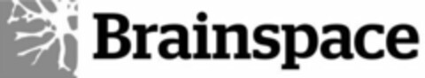 BRAINSPACE Logo (USPTO, 11/13/2014)