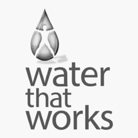 WATER THAT WORKS Logo (USPTO, 05/04/2010)