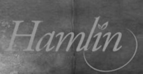 HAMLIN Logo (USPTO, 11.01.2013)