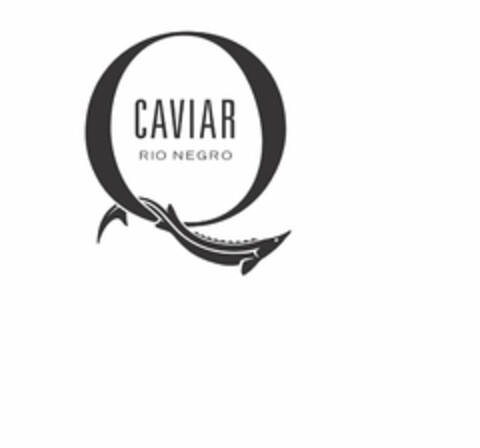 Q CAVIAR RIO NEGRO Logo (USPTO, 07/26/2016)