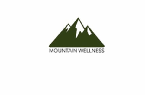 MOUNTAIN WELLNESS Logo (USPTO, 12/27/2018)