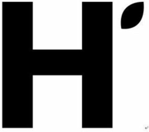 H Logo (USPTO, 05.06.2019)