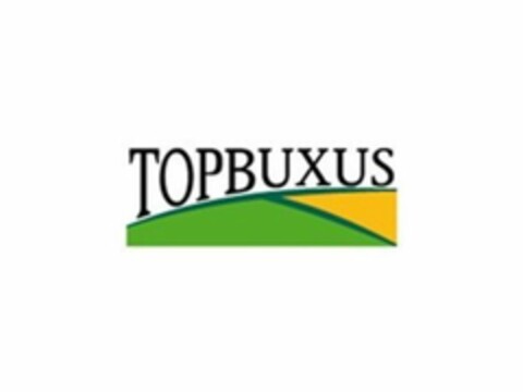 TOPBUXUS Logo (USPTO, 24.07.2019)