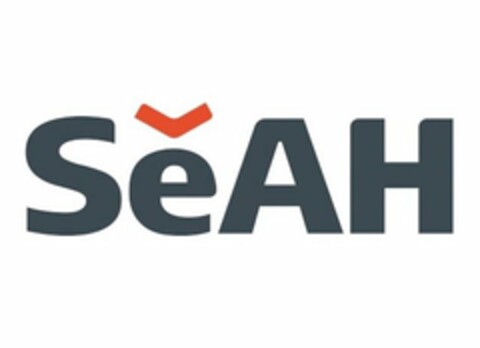 SEAH Logo (USPTO, 26.06.2020)
