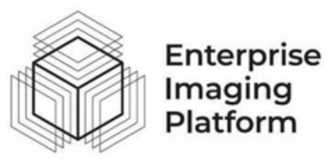 ENTERPRISE IMAGING PLATFORM Logo (USPTO, 06/30/2020)