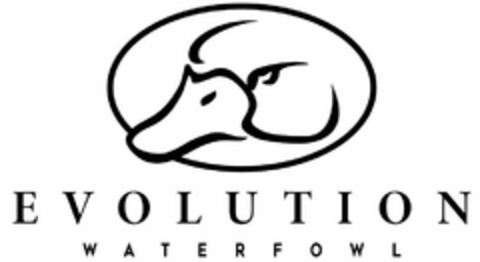 EVOLUTION WATERFOWL Logo (USPTO, 16.01.2019)