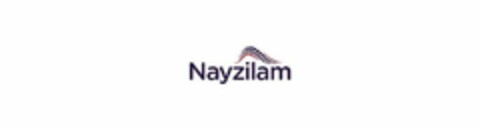 NAYZILAM Logo (USPTO, 22.02.2019)