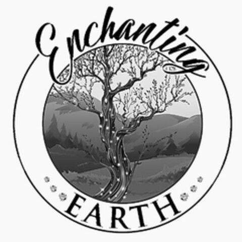 ENCHANTING EARTH Logo (USPTO, 06/24/2020)