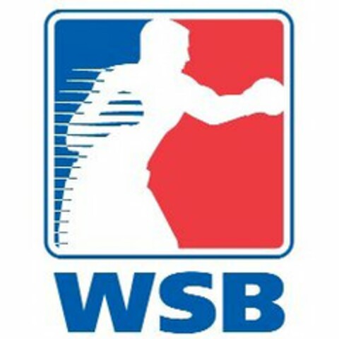 WSB Logo (USPTO, 02.12.2009)