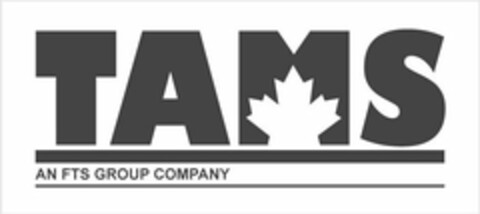 TAMS AN FTS GROUP COMPANY Logo (USPTO, 08.04.2013)