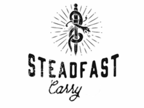 STEADFAST CARRY Logo (USPTO, 22.01.2016)