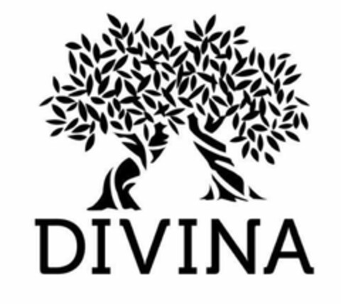 DIVINA Logo (USPTO, 20.01.2017)