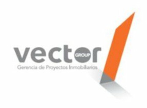 VECTOR GROUP GERENCIA DE PROYECTOS INMOBILIARIOS Logo (USPTO, 06/13/2017)