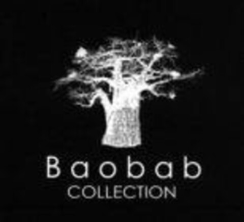 BAOBAB COLLECTION Logo (USPTO, 26.01.2018)