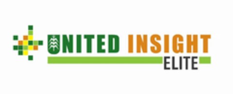 UNITED INSIGHT ELITE Logo (USPTO, 07.01.2019)