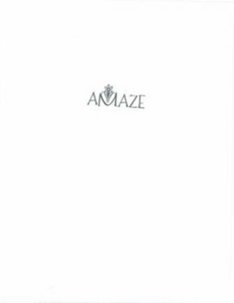 AMAZE Logo (USPTO, 31.12.2008)