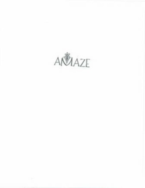 AMAZE Logo (USPTO, 12/31/2008)