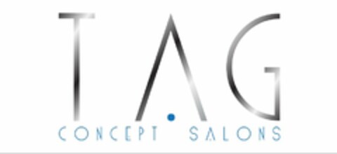 TAG CONCEPT SALONS Logo (USPTO, 10.11.2009)