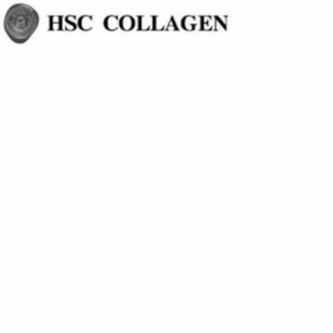 HSC COLLAGEN SOWARE INTERNATIONAL CO Logo (USPTO, 25.02.2011)