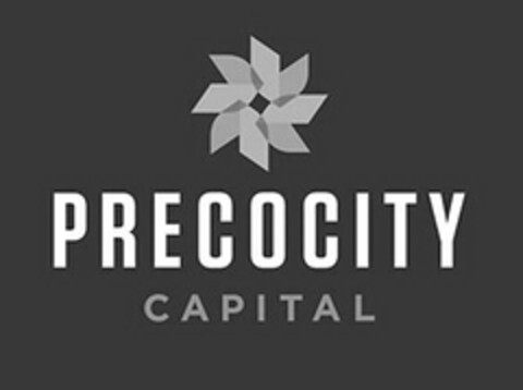 PRECOCITY CAPITAL Logo (USPTO, 10/19/2015)