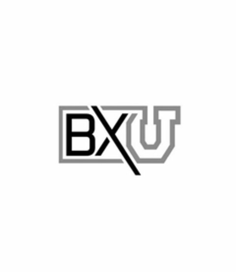 BXU Logo (USPTO, 14.02.2018)