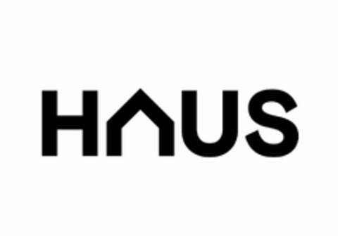 HAUS Logo (USPTO, 10.02.2020)