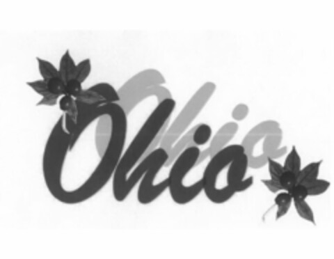 OHIO Logo (USPTO, 27.11.2013)