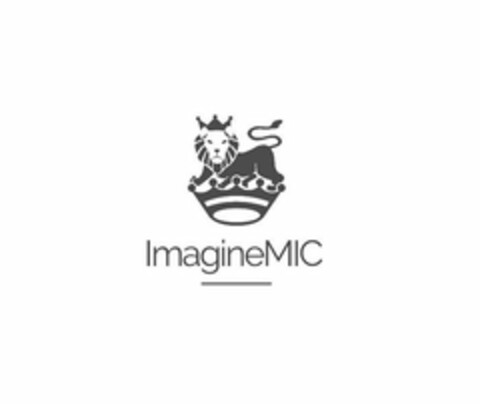 IMAGINEMIC Logo (USPTO, 21.10.2019)