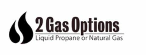 2 GAS OPTIONS LIQUID PROPANE OR NATURAL GAS Logo (USPTO, 19.04.2010)