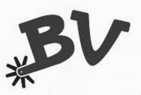 BV Logo (USPTO, 31.08.2011)