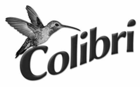 COLIBRI Logo (USPTO, 01/24/2012)