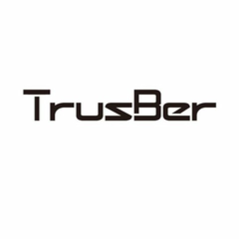 TRUSBER Logo (USPTO, 12.02.2018)