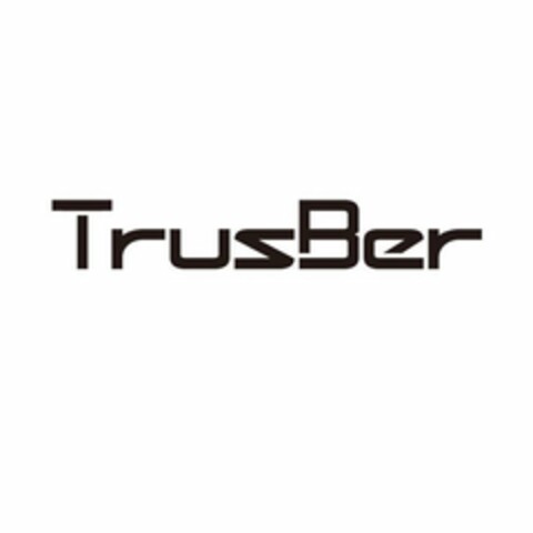 TRUSBER Logo (USPTO, 02/12/2018)