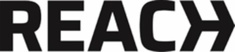 REACH Logo (USPTO, 24.10.2019)
