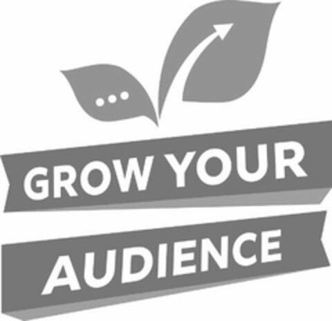 GROW YOUR AUDIENCE Logo (USPTO, 06.11.2019)