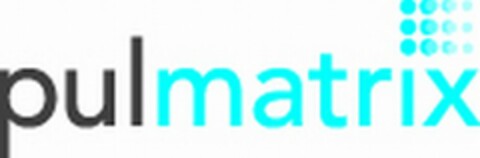PULMATRIX Logo (USPTO, 04.02.2009)