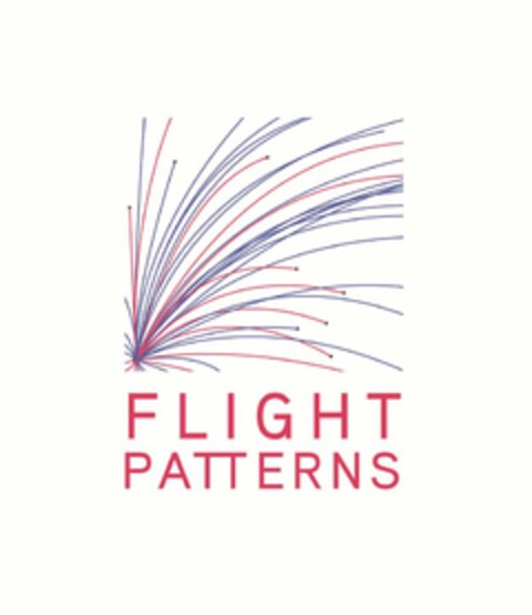 FLIGHT PATTERNS Logo (USPTO, 08/18/2010)